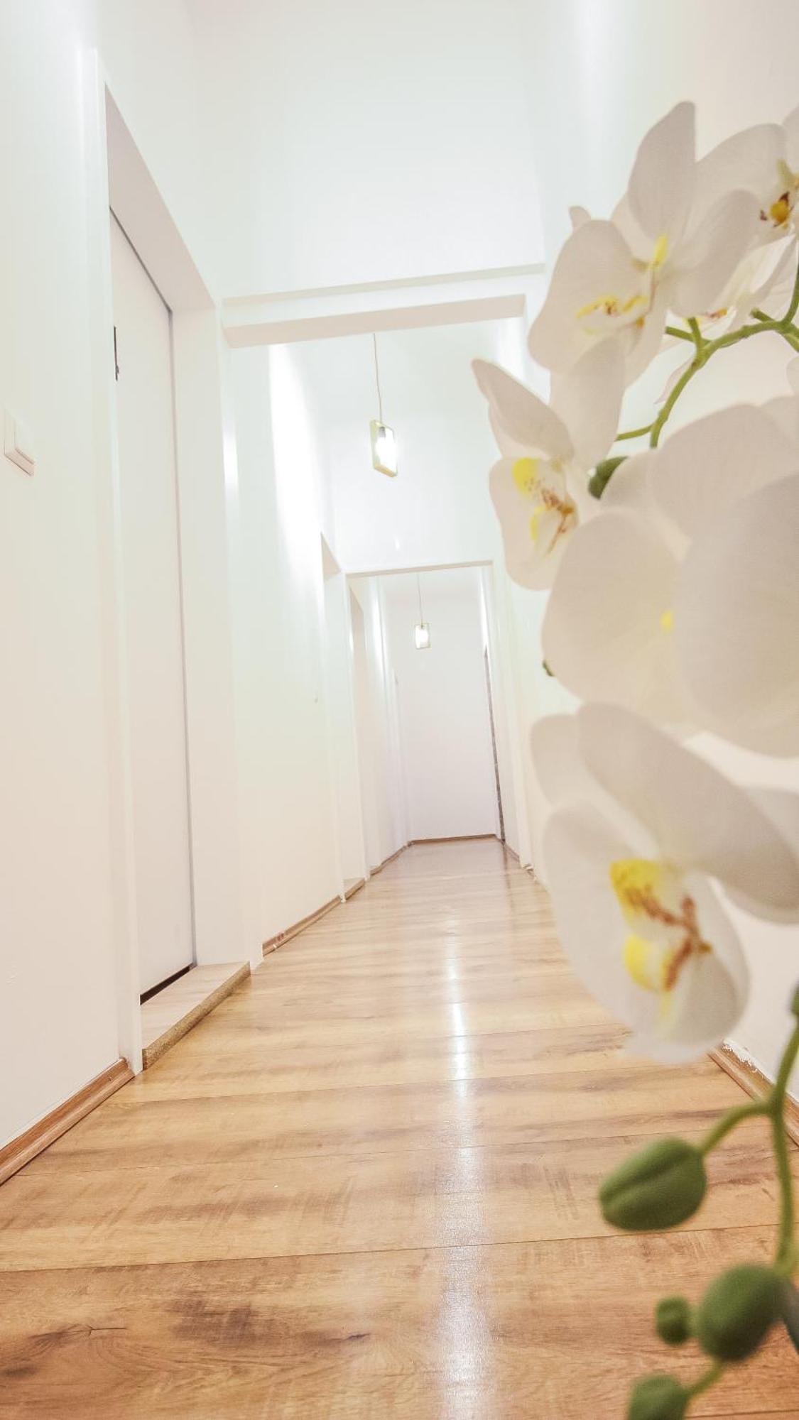 Comfortable Accommodations In The Alterlaa Area Lv6 Виена Екстериор снимка